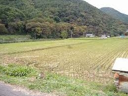 辰野町ほたる童謡公園北側の水田地帯の写真。